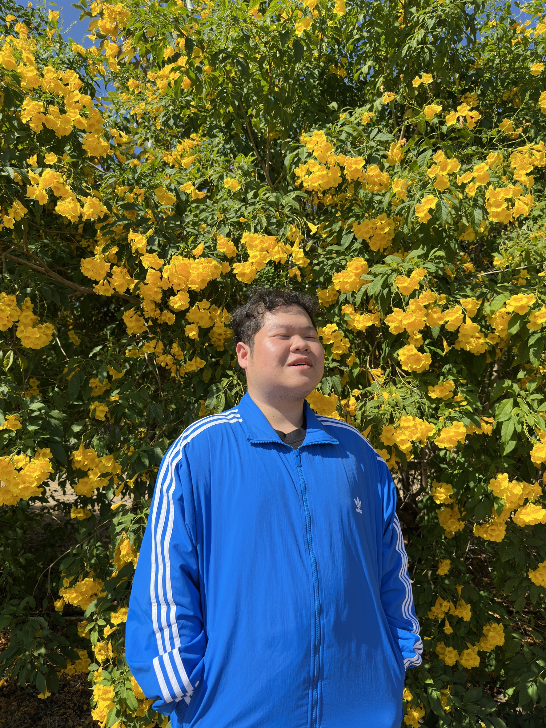 Soravis Sakulrat - Photo 3